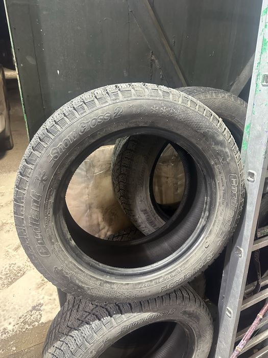 Зимние шипованные шины