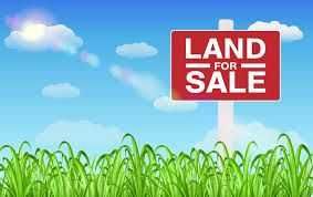 Moara Vlasiei - 11.000 mp, desc lac 36 m, priveliste, 11 EUR/mp