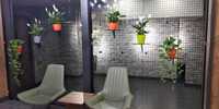 Оформление живыми комнатными растениями офисов,ресторанов домов