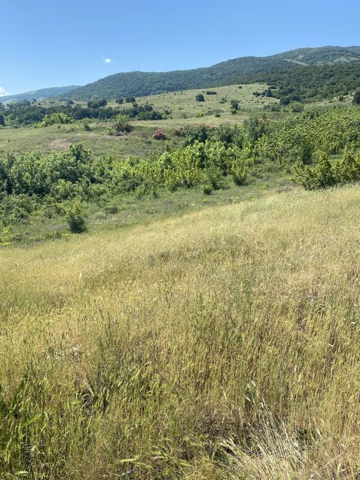 Земеделска земя Белащица/Марково