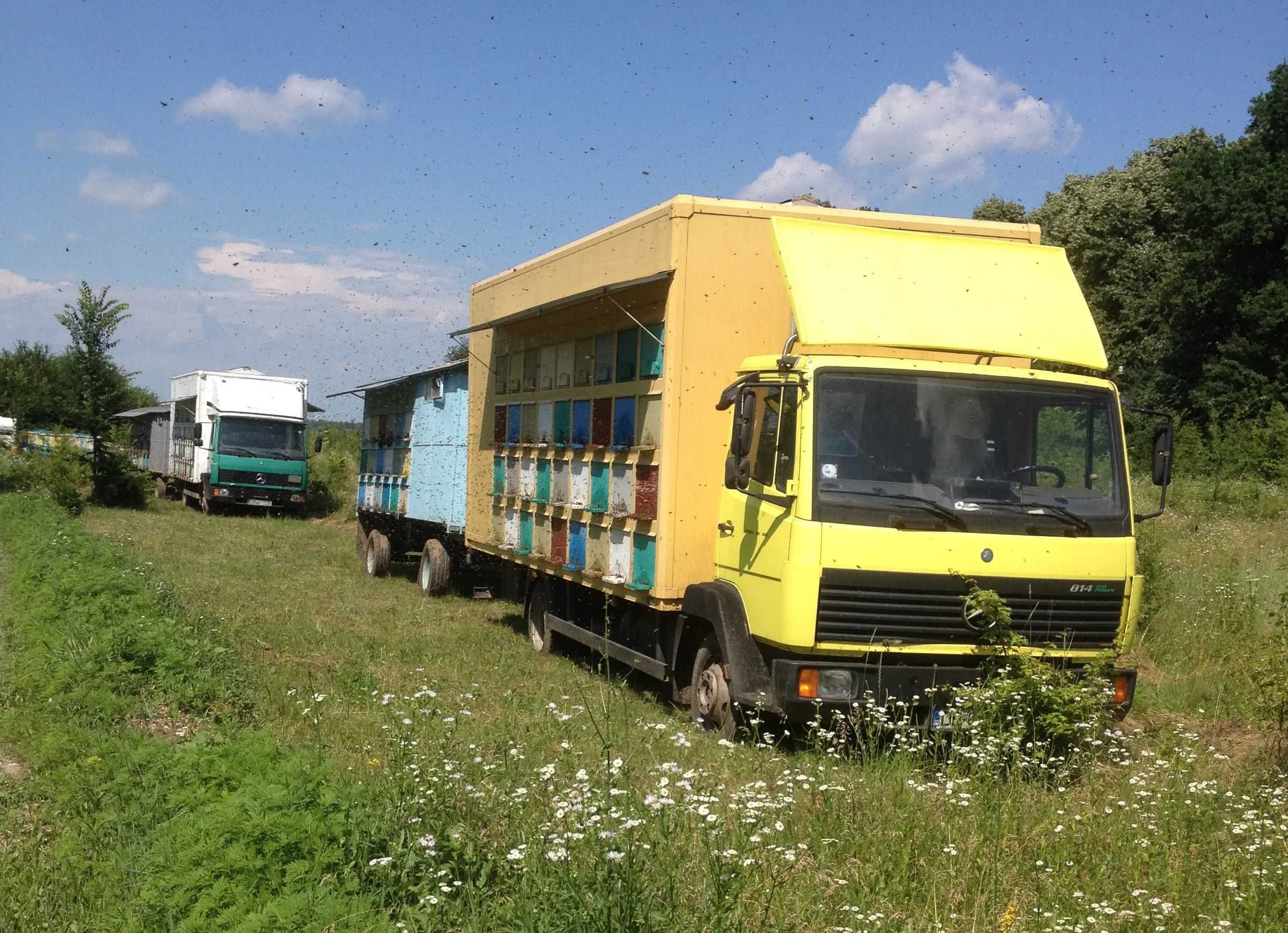 Vând CAMION APICOL Mercedes-Benz 814 și PAVILION APICOL 3,5t