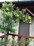 Vand casa 3 camere Deva