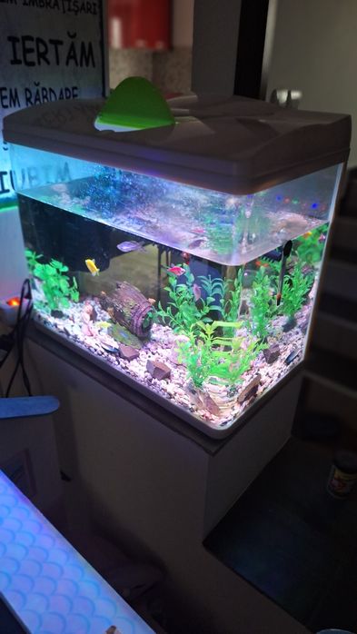 Acvariu 50 litri cu toate accesoriile necesare