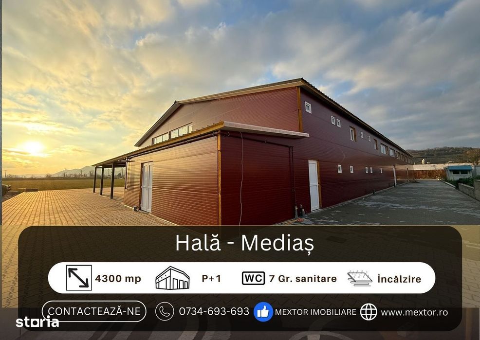 Hală de inchiriat, Medias