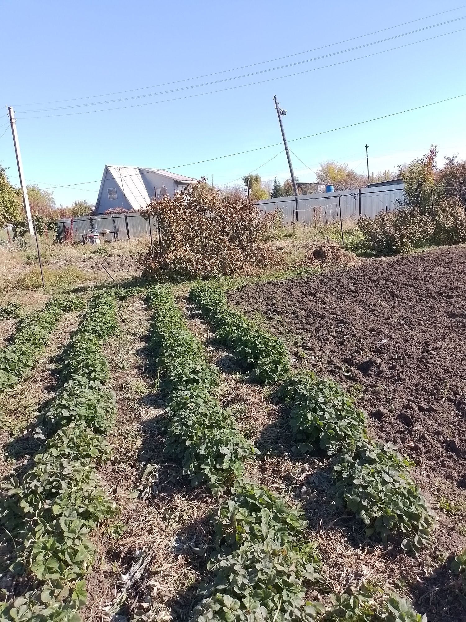 Продам дачу в городе