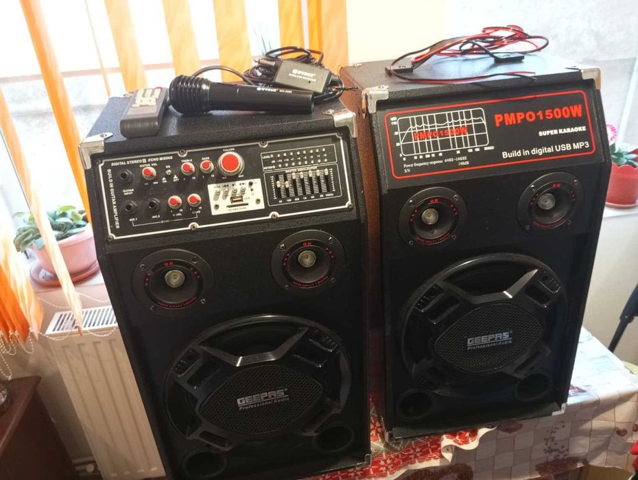 Boxe GEEPAS Profesional Audio