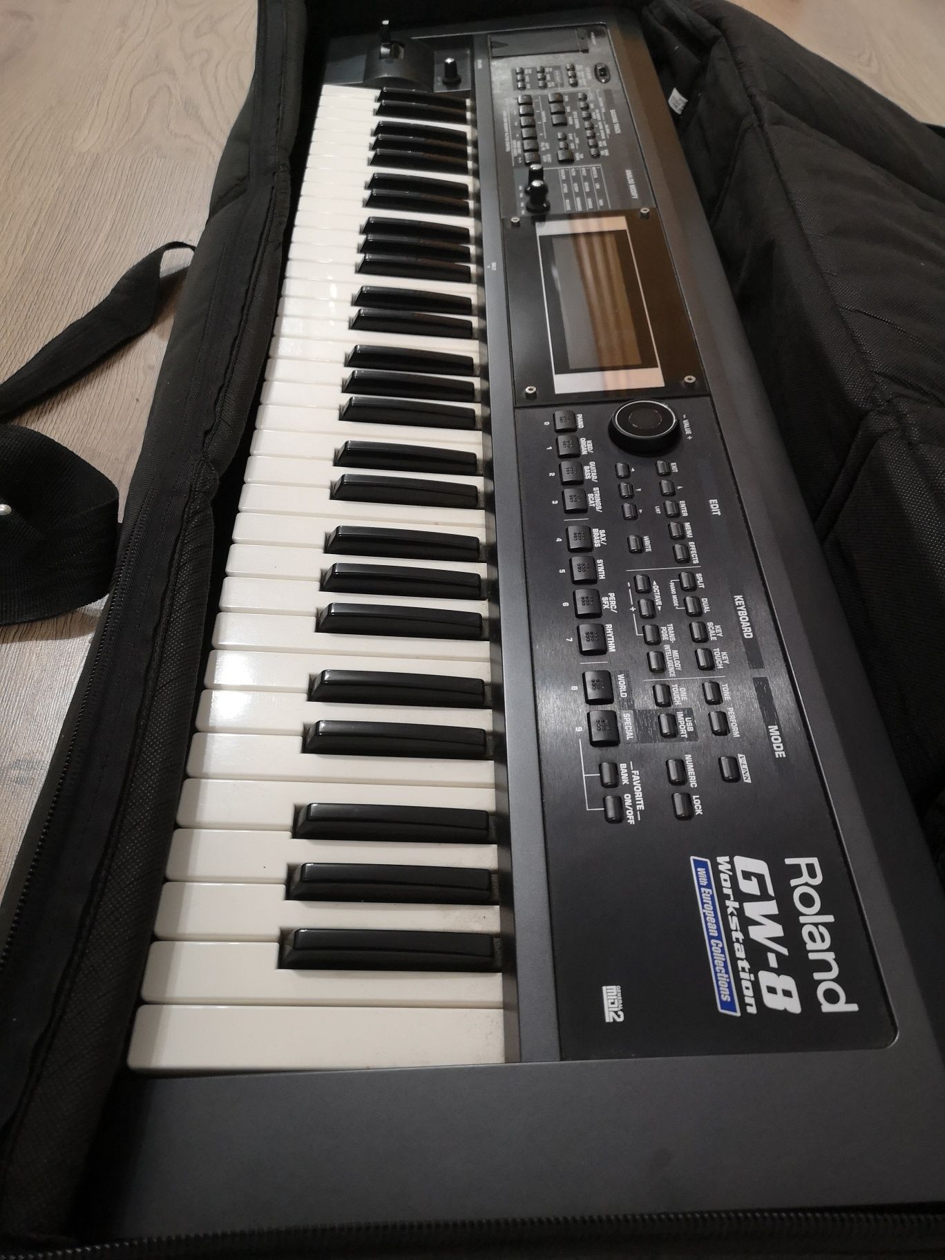 Orga Roland  GW-8