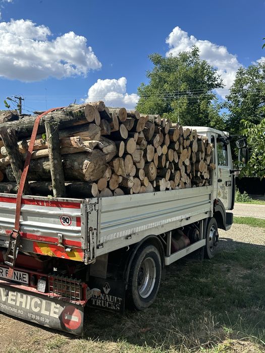 Lemne de foc esenta tare