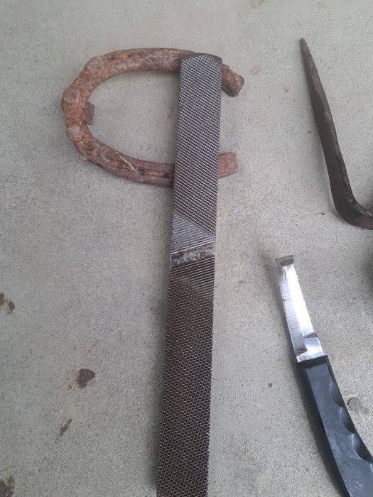 Scule / rașpel copite cai