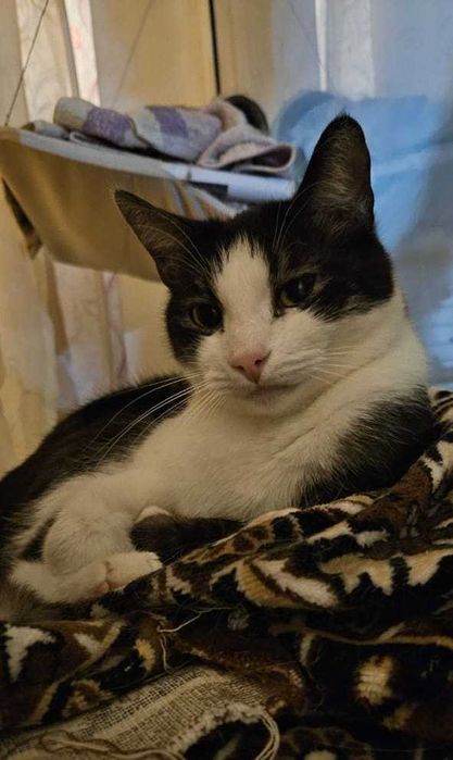 Ищем любящую семью