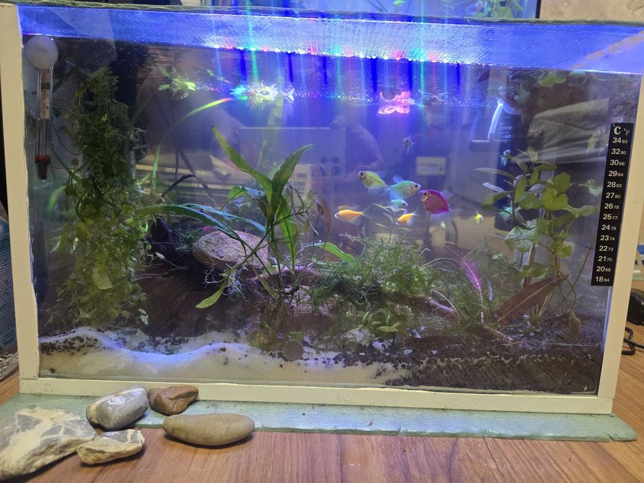 Оборудван аквариум