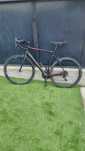 Cursiera Carbon Canyon Endurace CF L(56)