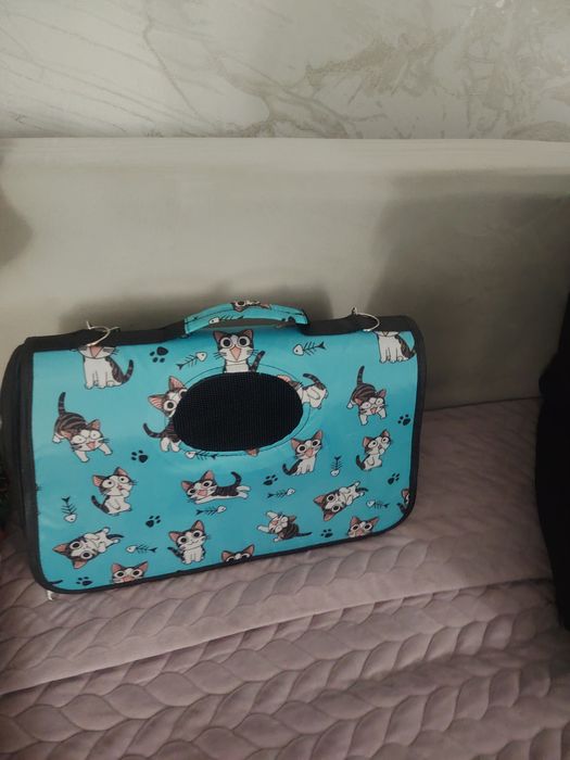 Кошачья сумка хорошая