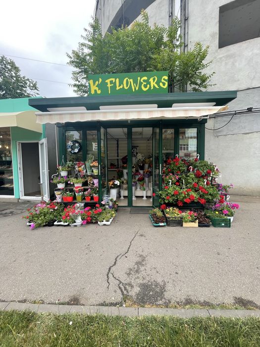 Florărie de vânzare - afacere la cheie