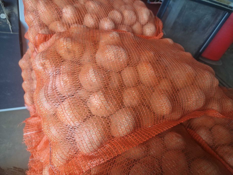 Cartofi de consum  - producator