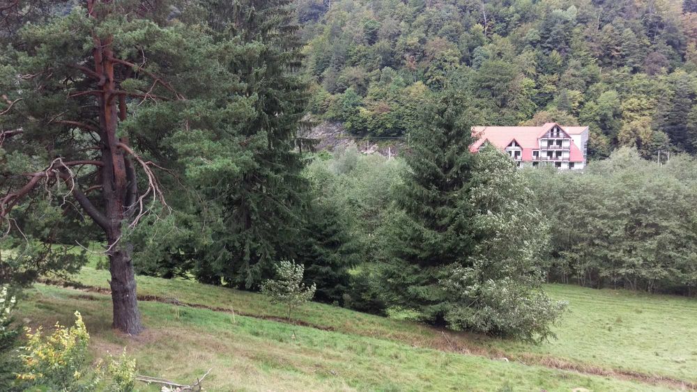 Vând teren intravilan in Timișul de Jos, localitatea Săcele, Brașov