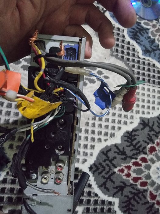 Pioneer delfin arginal