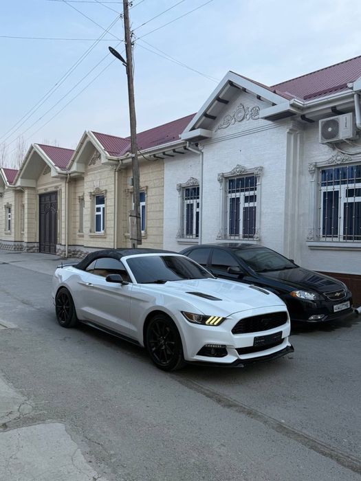 Kabriolet (Ford mustang) Rent car , Arenda