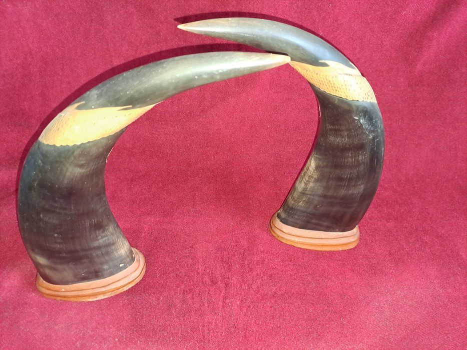 coarne de bivol sculptate