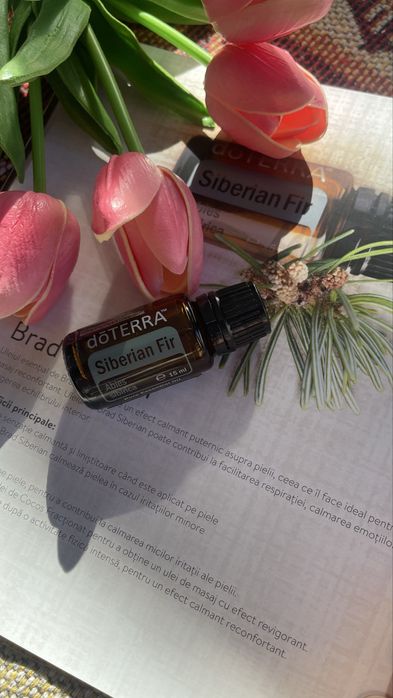 DOTERRA Siberian Fir aroma terapia