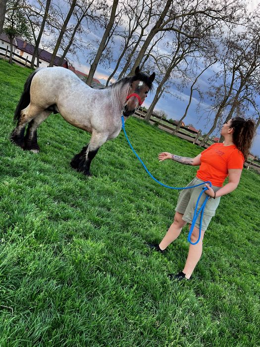 Mânz ardenez special,2 ani!