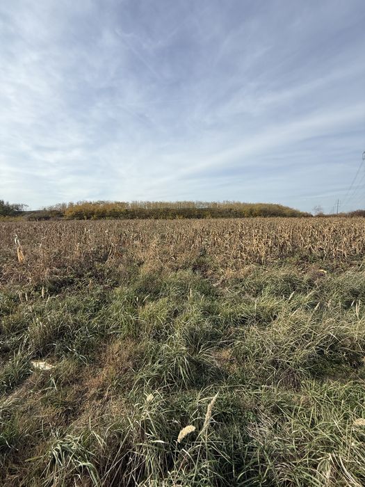 Vand teren la intrare in cheriu