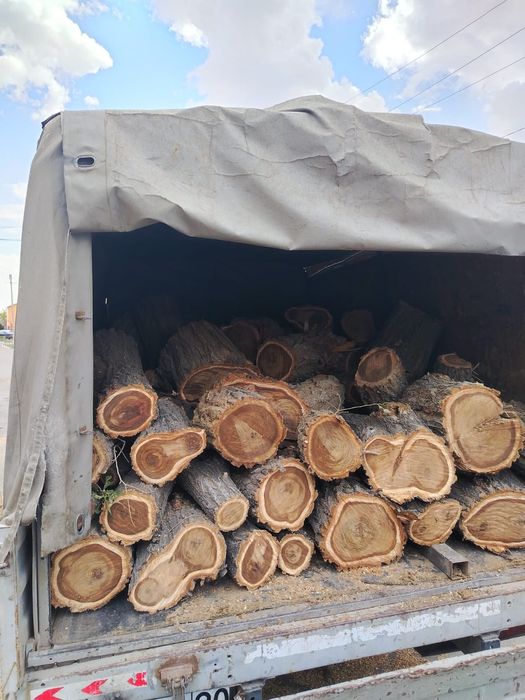 Продам дрова! сухие, колотые дрова (қараағаш), подходят для печи, бани