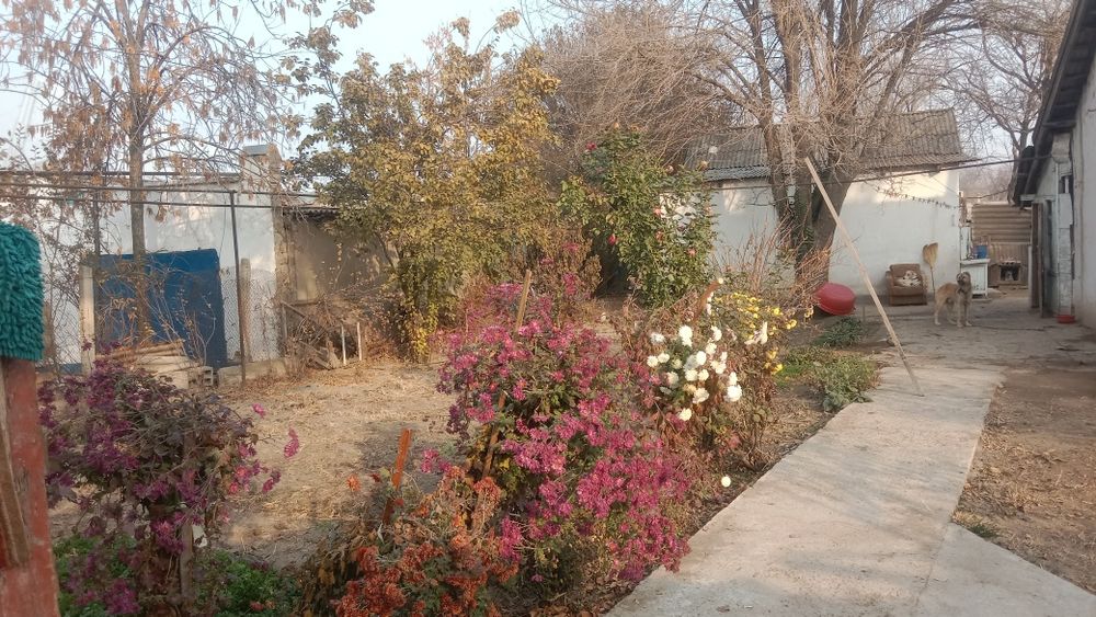 Две объединенные квартиры барачного типа.