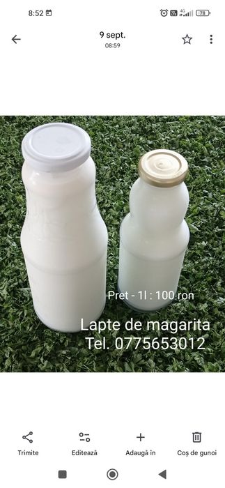 Lapte de magarita 100 ron/L
