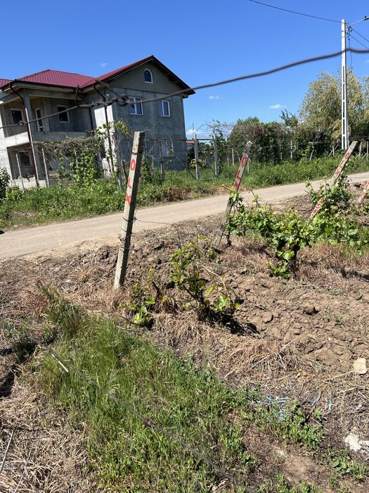 Teren constructie intravilan !