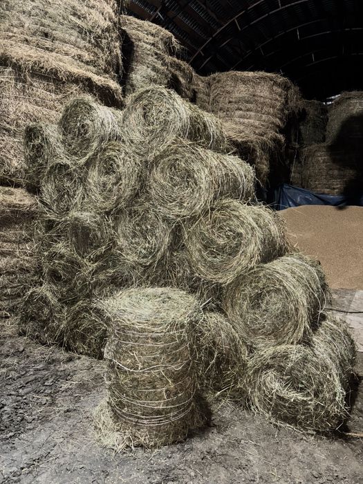 Сено в маленьких рулонах