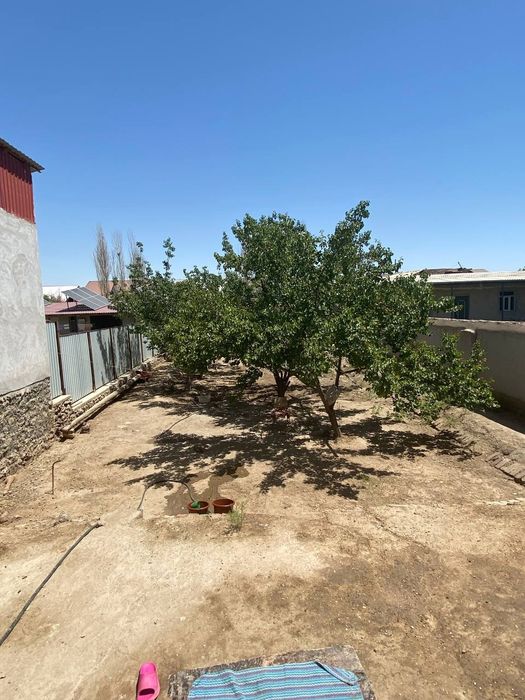 Жай сатылады Майкалхоз да