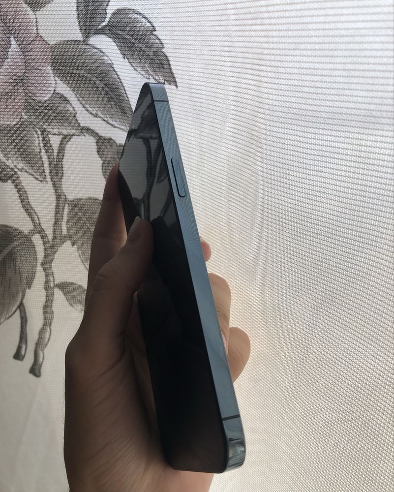 iPhone 12 pro max ideal