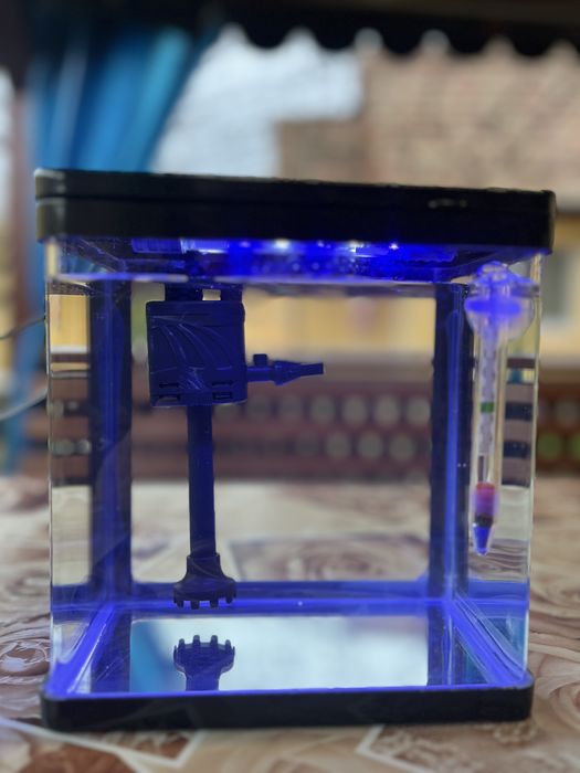 Acvariu mic cu lunina si filtru incorporat