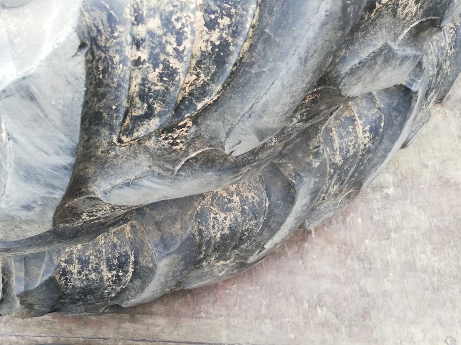 Roti tehnologice pt tractor