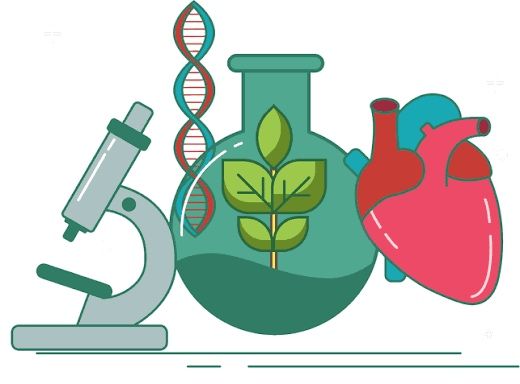 Meditații Biologie / Medicină – cu rezident în Microbiologie
