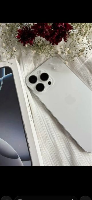IPhone 16 Pro Max торг есть