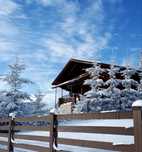 Cabana Artem Chalet Libera de Revelion