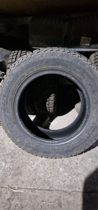 Комплект шин шипованных R14 185/65 Cordiant Polar2