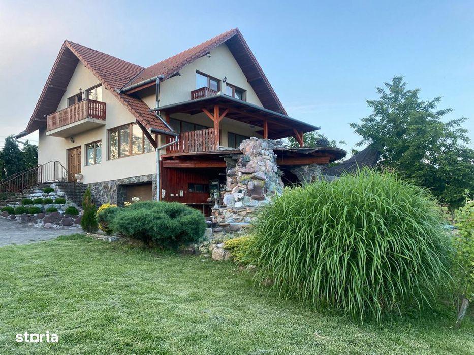 Vilă in Viile Satu Mare -Oportunitate de Business, Confort și Liniște