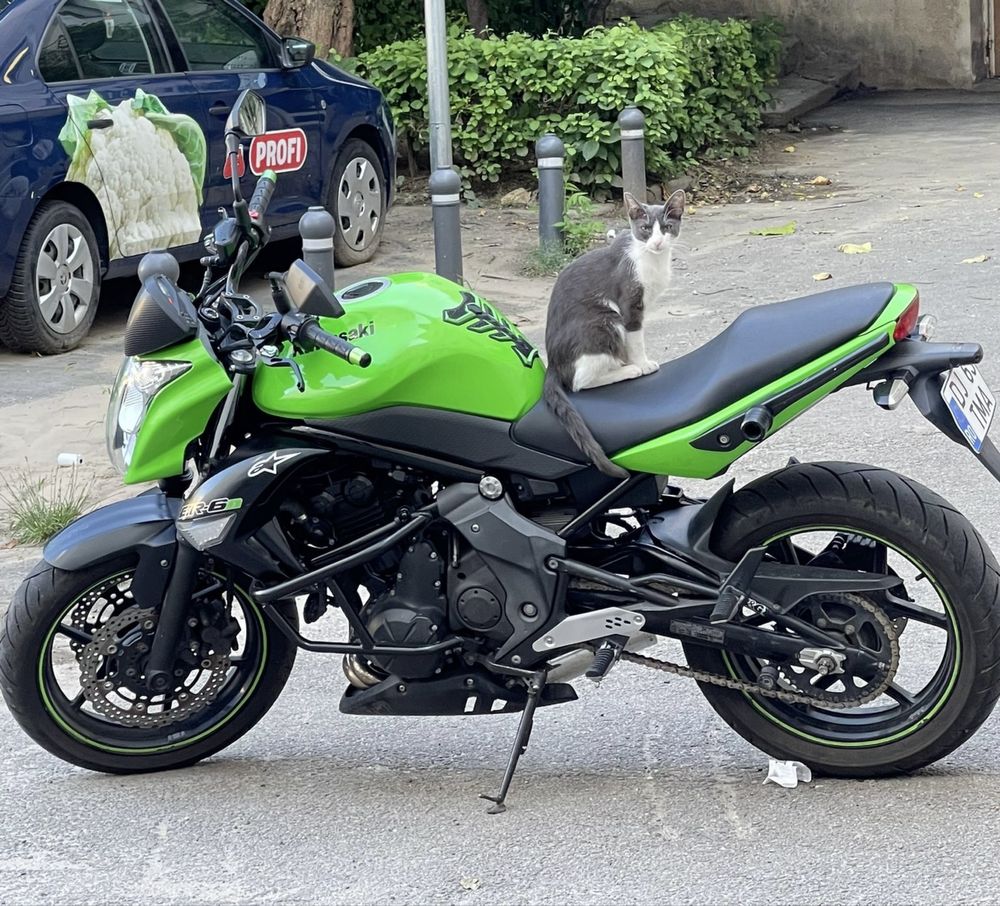 Kawasaki ER6N 2010