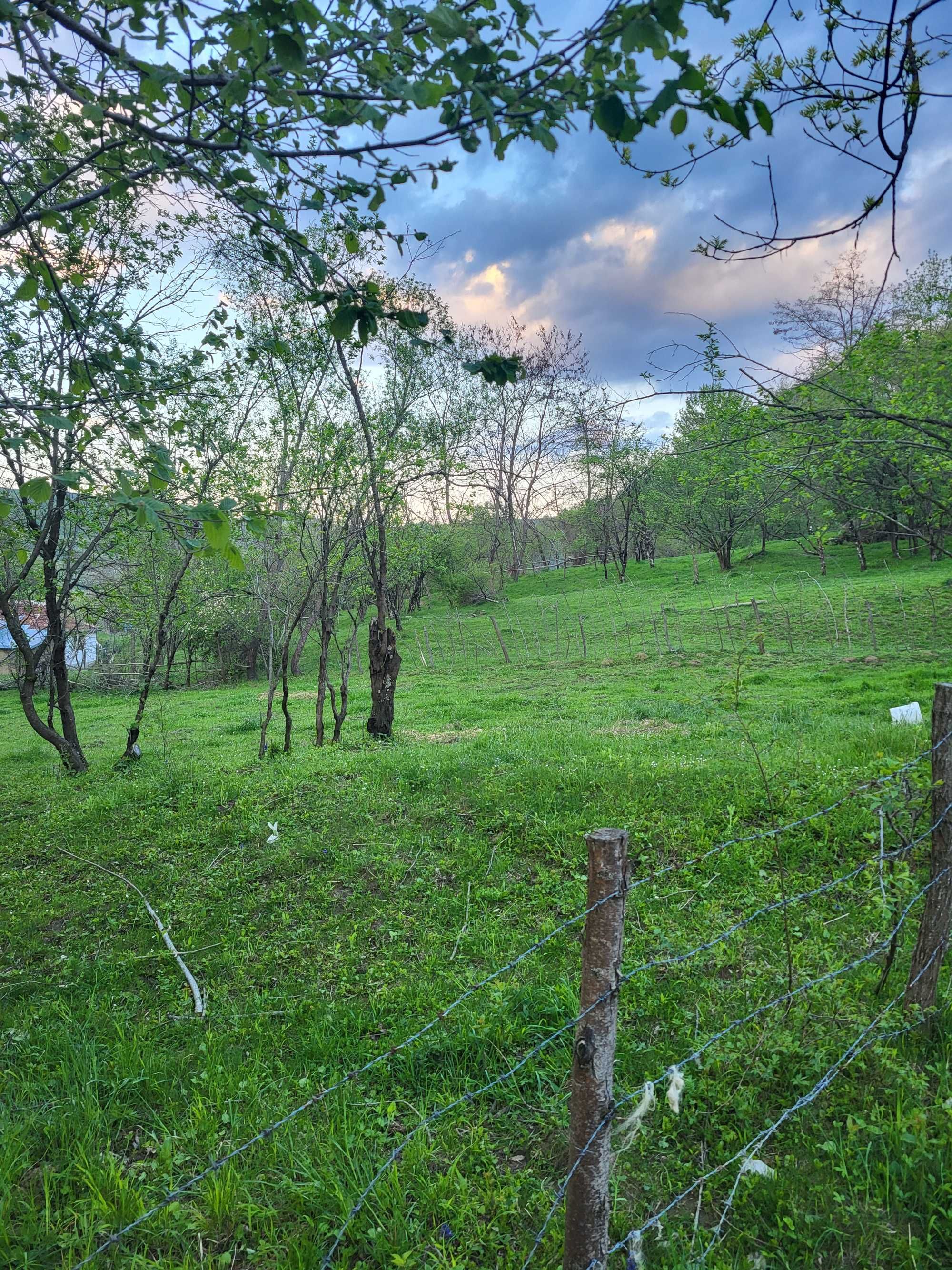 Teren intravilan Provita de Sus