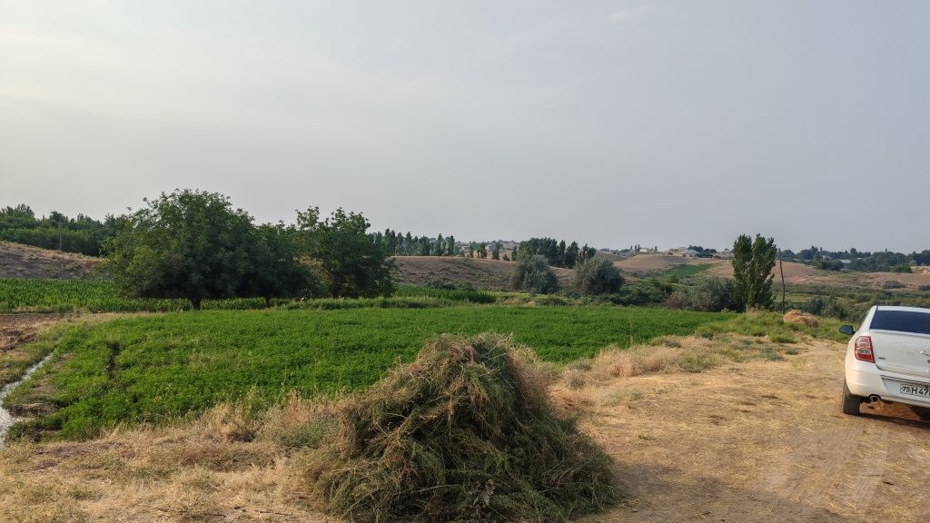 Qumqo'rg'on tumani, O'zbekiston, Tayloq qishlog'ida yer sotiladi