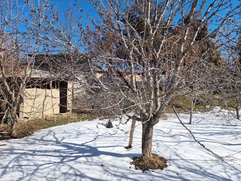 Yer sotiladia srochna So'qoq markazida yo'l boʻyi qulay lokatsiyada