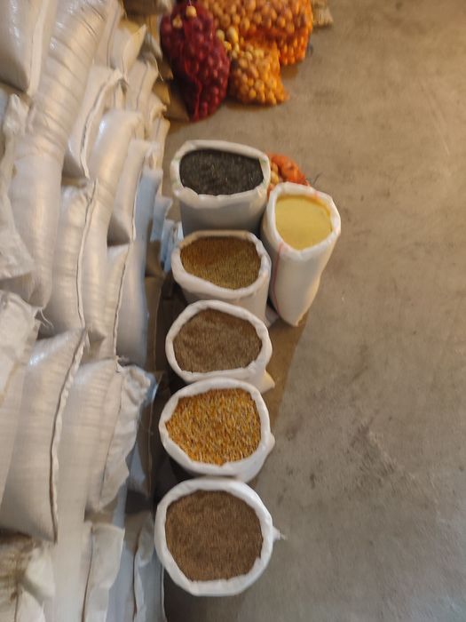 Vând floarea soarelui