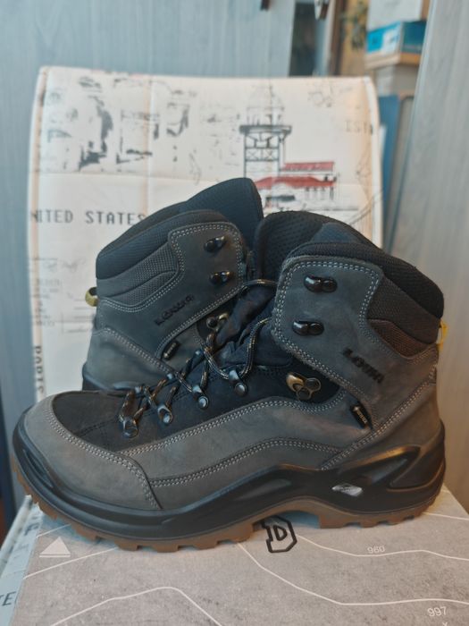 Ghete Lowa Renegade Gtx