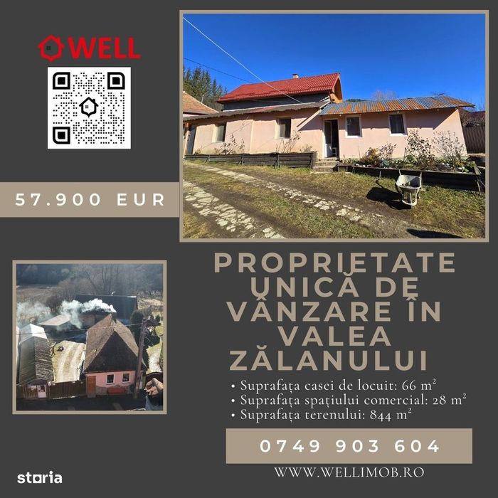 Proprietate unică de vânzare în Valea Zălanului
