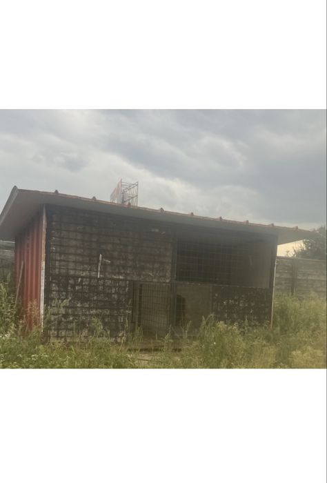 Vand cusca dubla pentru caini