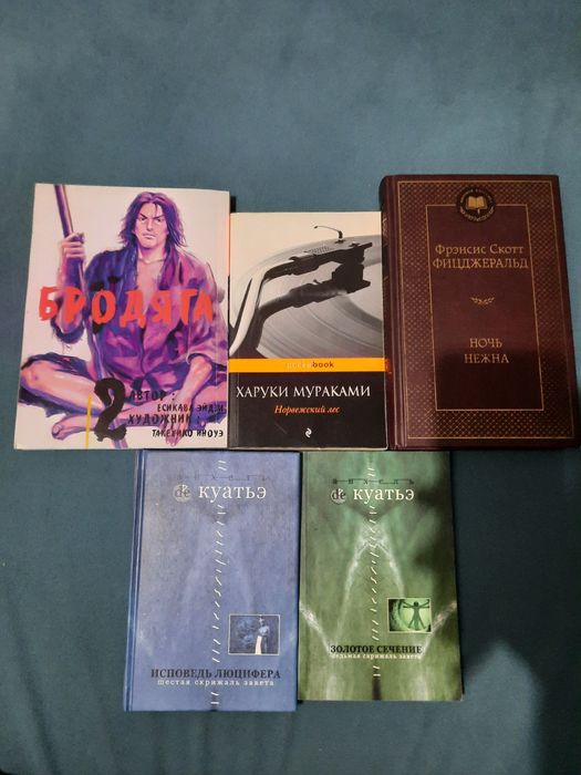 Книги. (Бродяга 2) (Норвежский Лес).