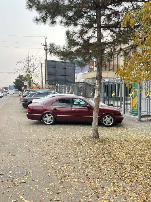 AMG monoblck Style 1